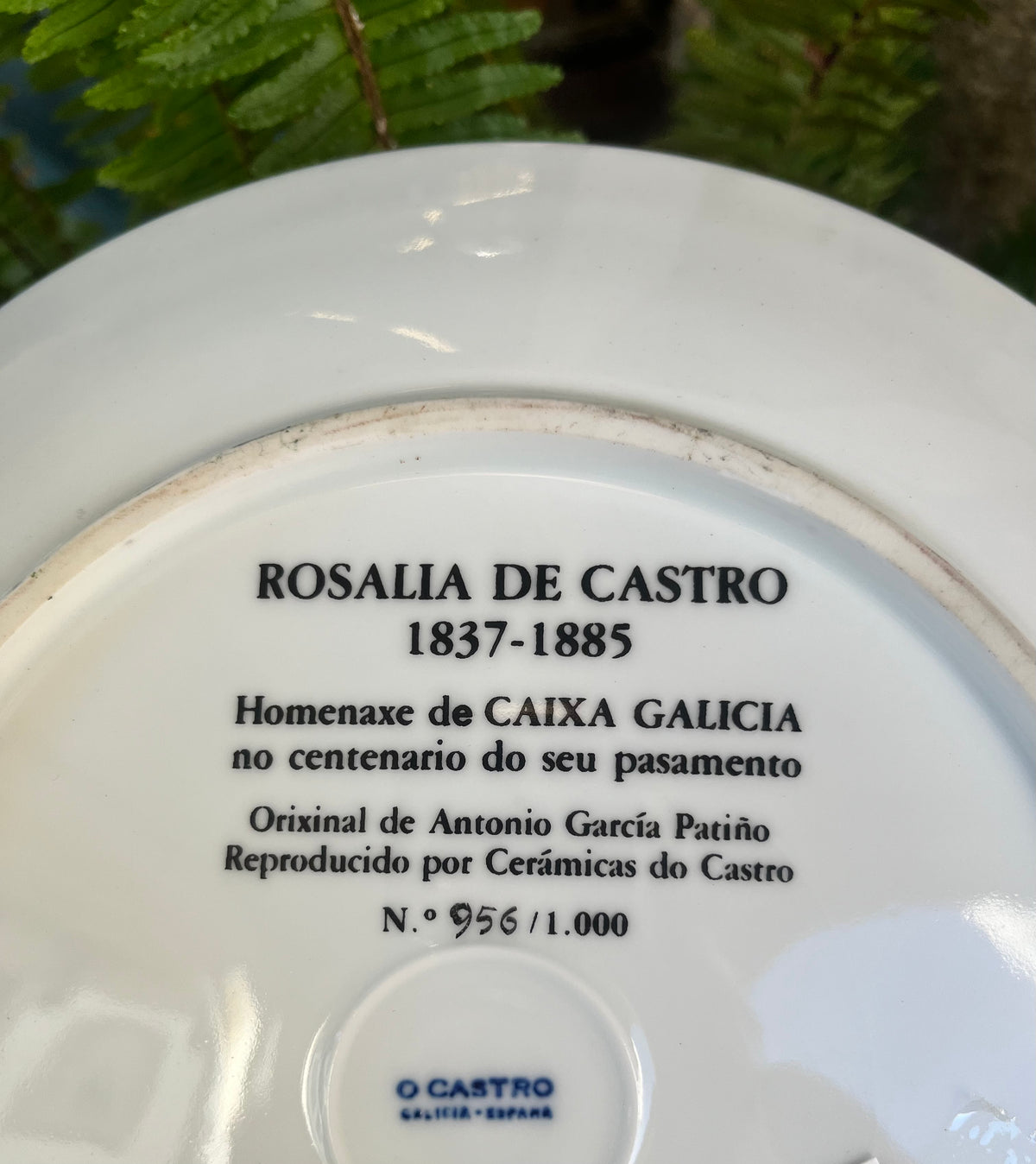 Plato porcelana O Castro