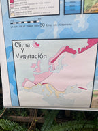 Mapa físico y político de Europa. Años 70.