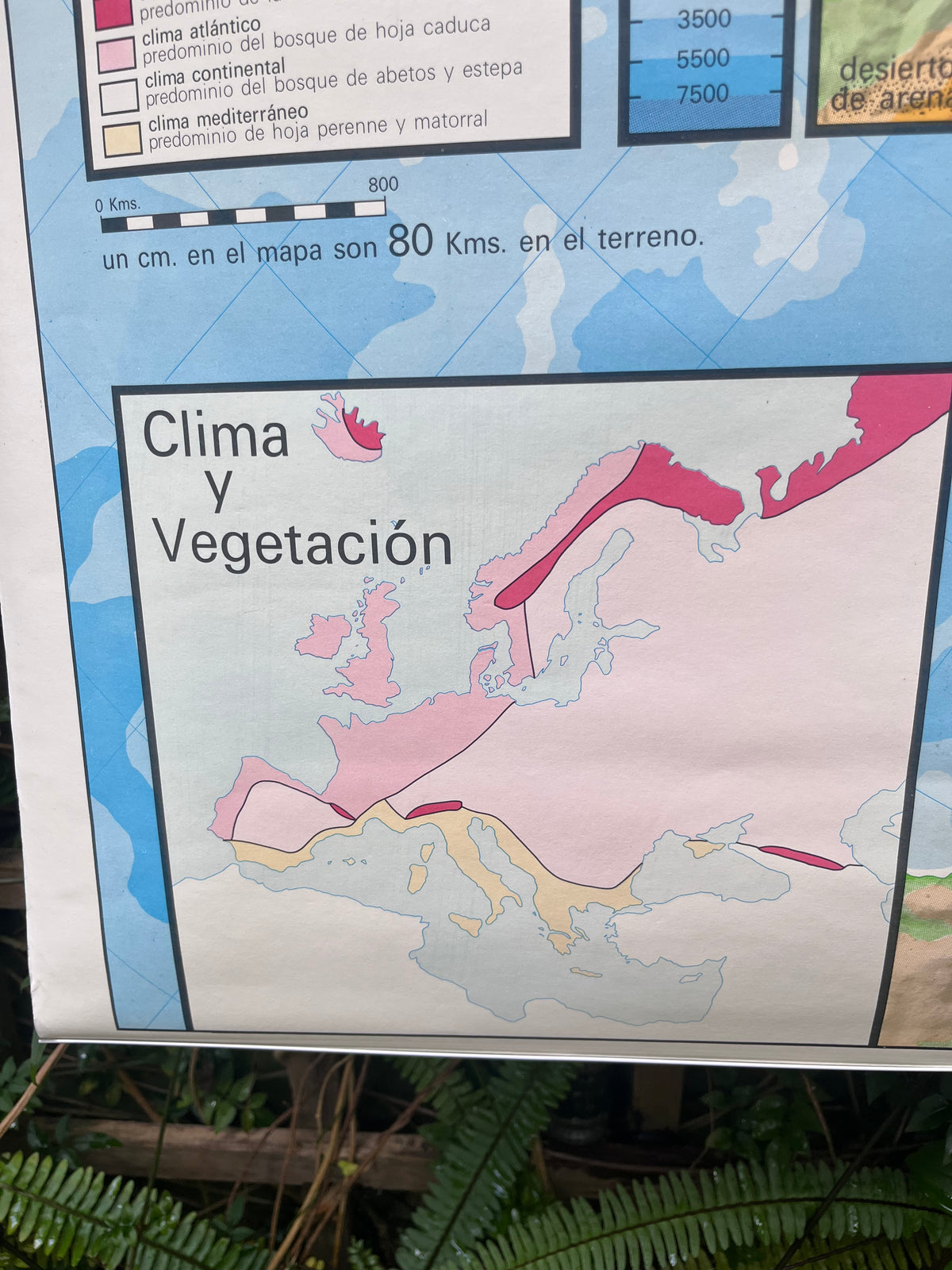 Mapa físico y político de Europa. Años 70.