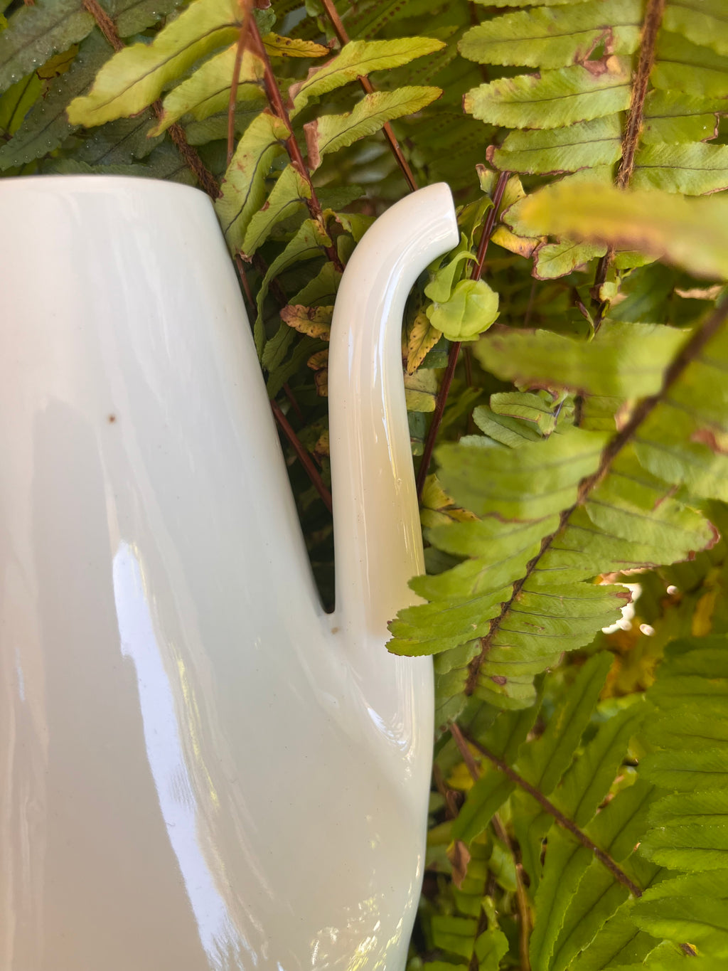 Cafetera porcelanas O Castro